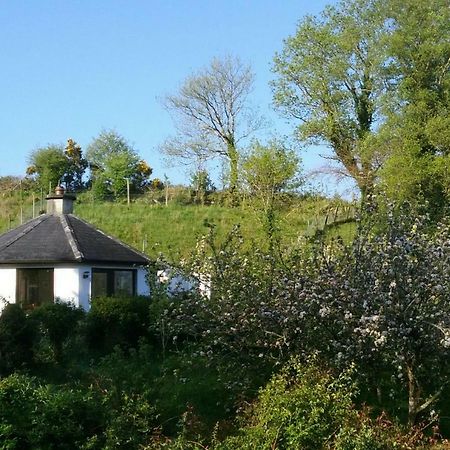 Drombrow Cottage Bantry Kültér fotó